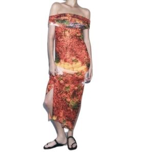 NWT Zara Lined Fruit Off Shoulder Maxi Dress Mesh Lined  Stretchy Sz M